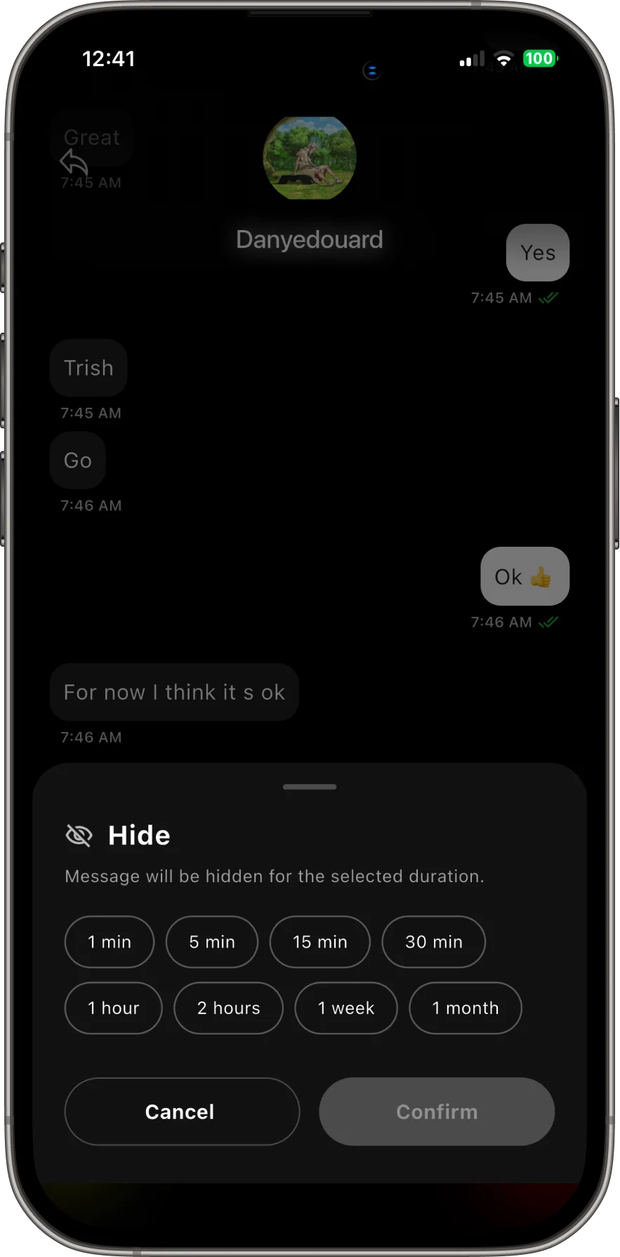 The Hide message privacy controls inside a chat